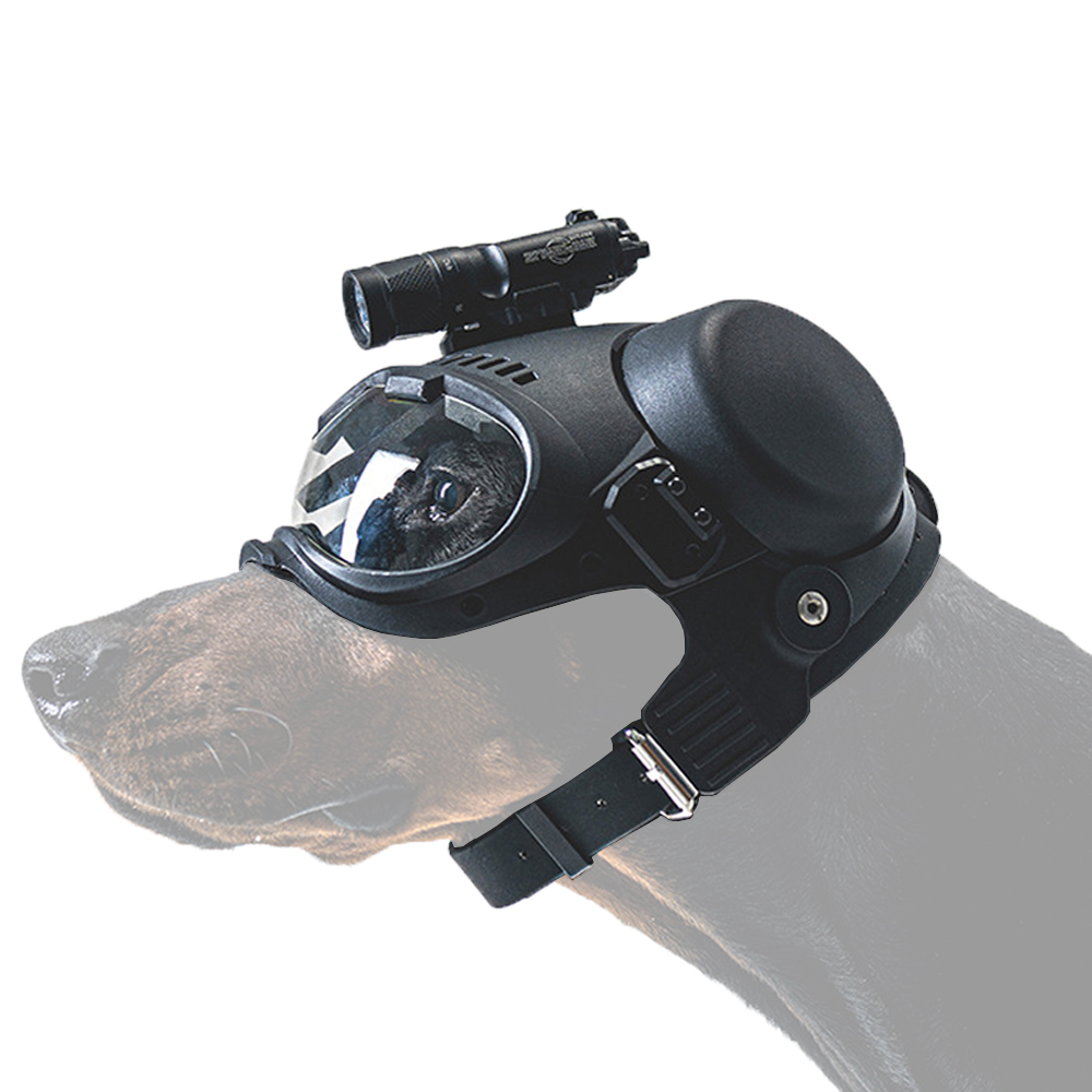 Outdoor Hunting Dogs - Tactical Dog Outdoor Hunting Training K9