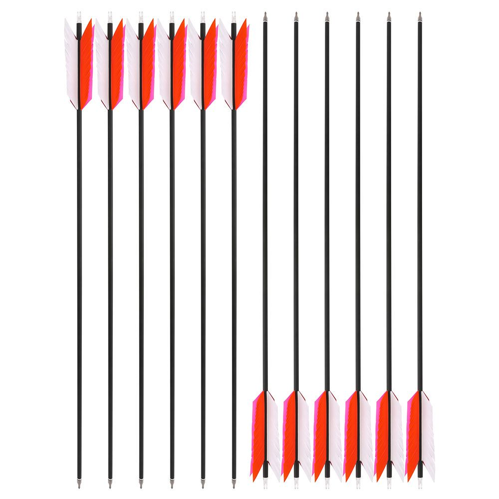 Archery Arrows 12pcs 31.6inch  – Arrow Carbon Shaft Bewertung und Preis