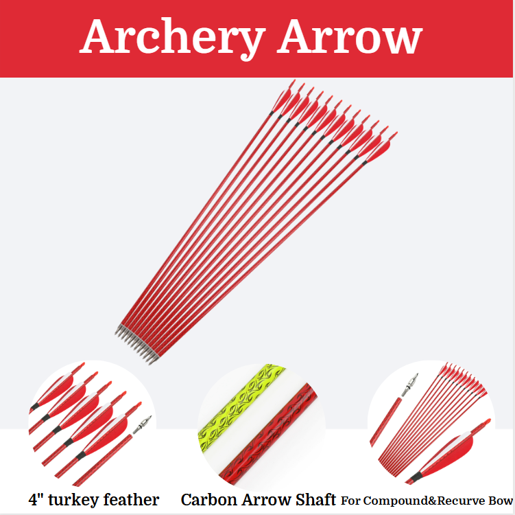 Mixed Carbon Arrows 12pcs 31.5 – Arrow Carbon Shaft Bewertung und Preis
