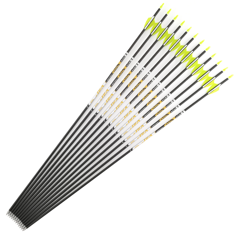 Archery Spine 350 400 450 500  – Arrow Carbon Shaft Bewertung und Preis