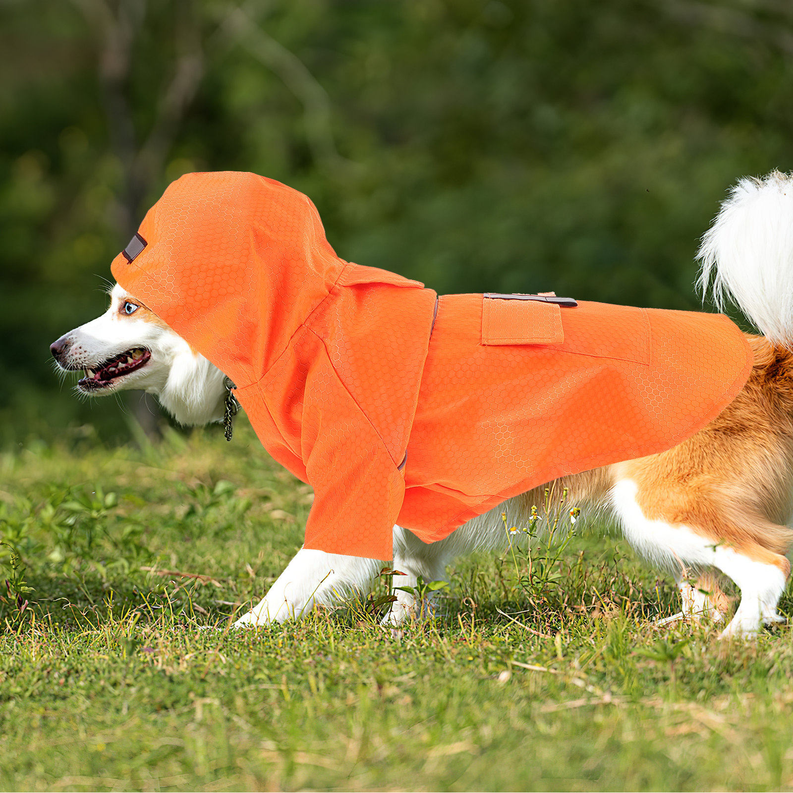 Premium Waterproof Dog Raincoa – Outdoor Hunting Dogs Bewertung und Preis