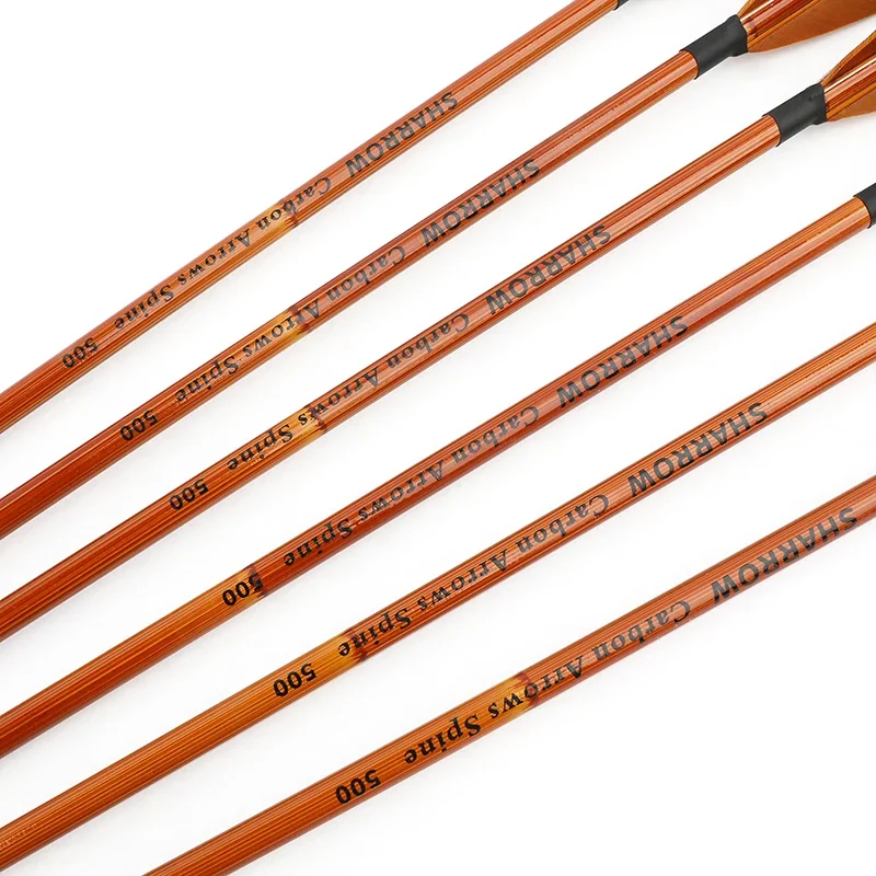6/12pcs Mixed Carbon Arrows SP – Arrow Carbon Shaft Bewertung und Preis