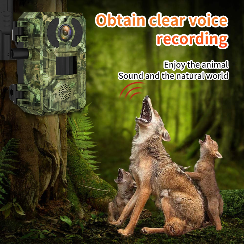 H10 4G Hunting Trail   With So – Outdoor Hunting Camera Wireless Bewertung und Preis