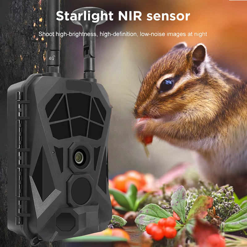 Trail Camera 4G GPS Wireless I – Outdoor Hunting Camera Wireless Bewertung und Preis