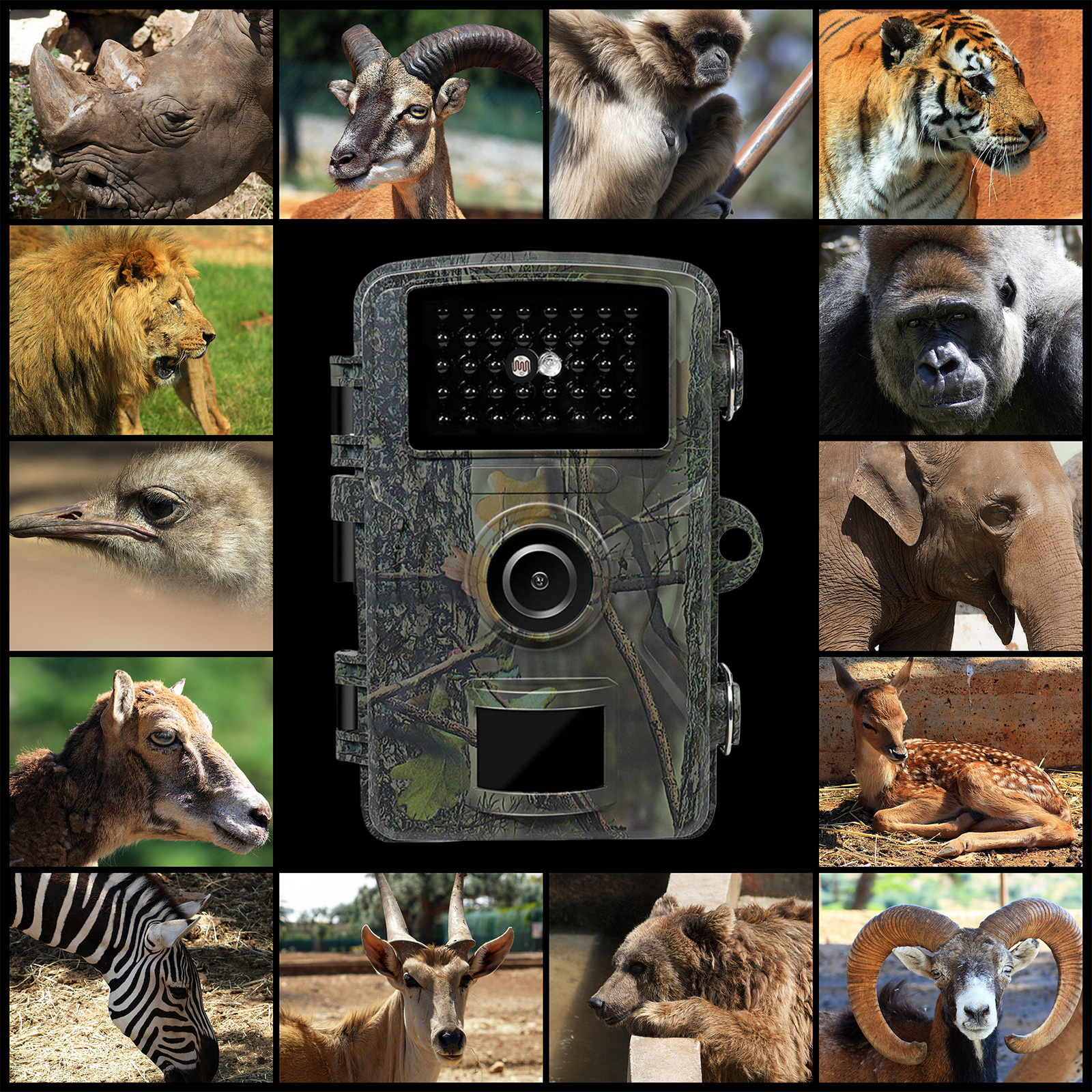 Outdoor Wildlife Camera 0.8s T – Hunting Outdoors Card Bewertung und Preis