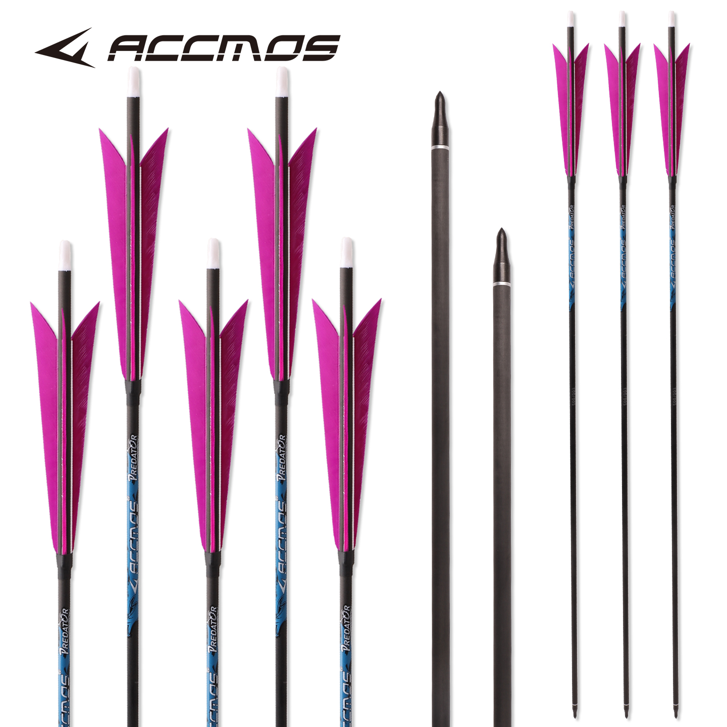 Sharp Turkey feather Pure Carb – Arrow Carbon Shaft Bewertung und Preis