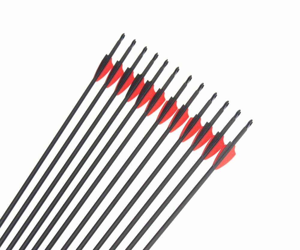 12Pcs Archery Mix Carbon Arrow – Arrow Carbon Shaft Bewertung und Preis