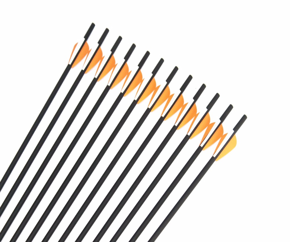 12Pcs Archery Mix Carbon Arrow – Arrow Carbon Shaft Bewertung und Preis