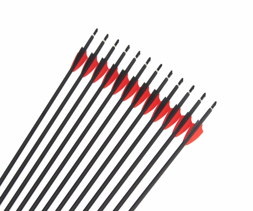 12Pcs Archery Mix Carbon Arrow – Arrow Carbon Shaft Bewertung und Preis