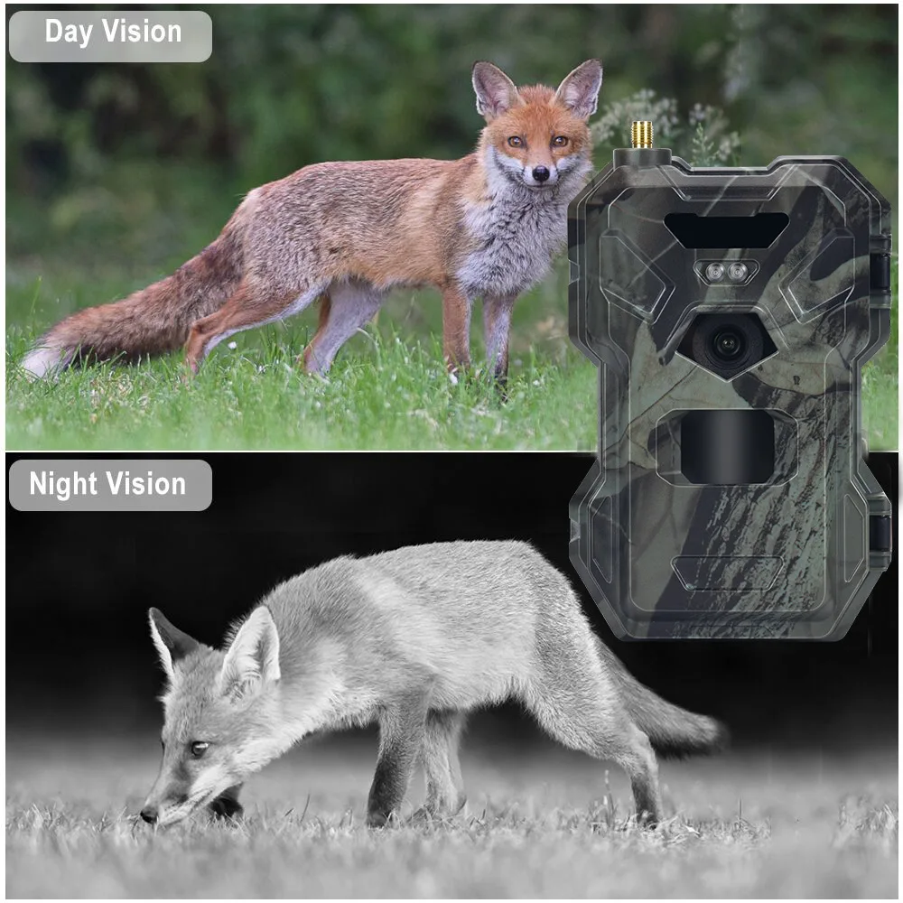 HC-880Pro Outdoor 4G 30MP HD 2 – Outdoor Hunting Camera Wireless Bewertung und Preis