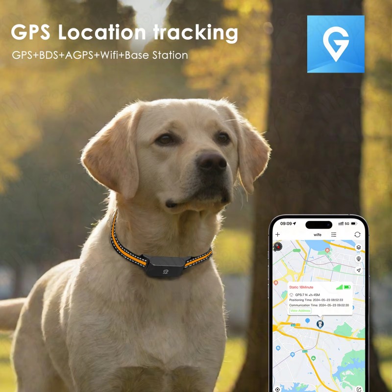 Dog GPS Tracker Outdoor Campin – Outdoor Hunting Dogs Bewertung und Preis